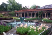 Ornamental pool surrounded by peach and purpel irises