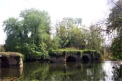 Arches of a broken bridge covered in ivy and standing in a lake